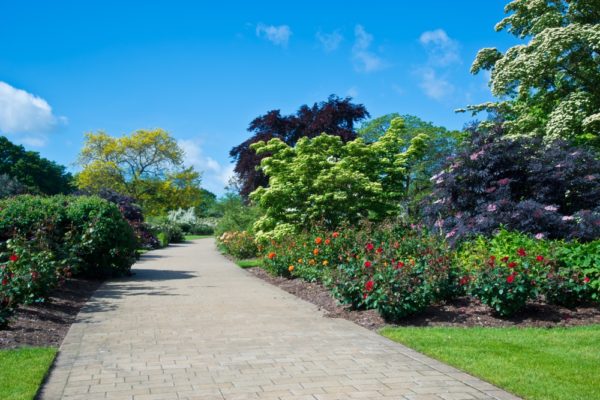 Wisley Gardens, Kent