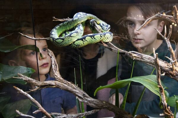 Natuurmuseum